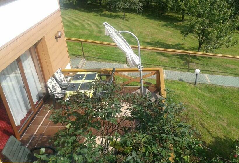 آپارتمان 1 خوابه, Willa Panorama Spa