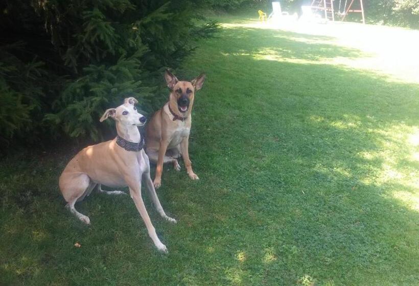 آپارتمان 1 خوابه, Willa Panorama Spa