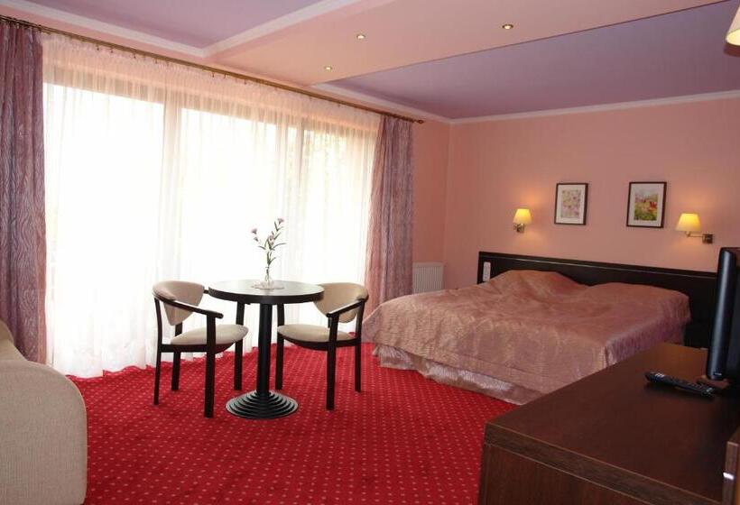 اتاق استاندارد با دسترسی به اسپا, Willa Panorama Spa