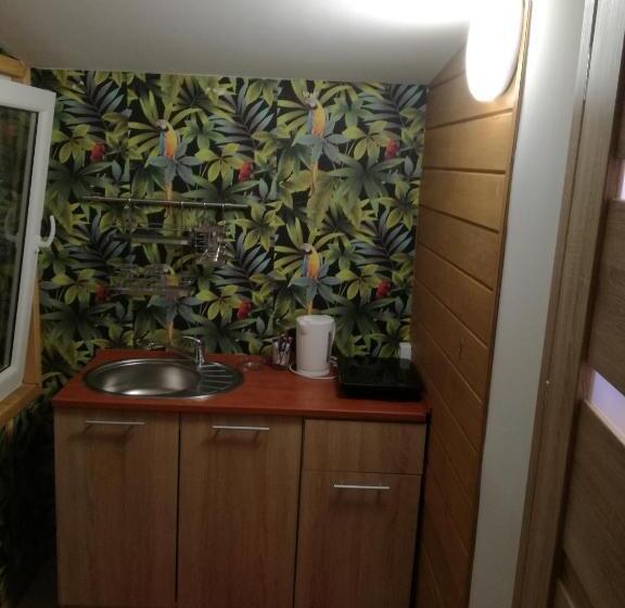 استودیو استاندارد با چشمانداز, Willa Panorama Spa