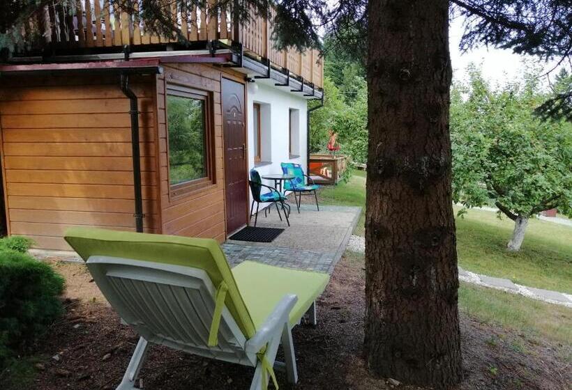 Студио Стандарт с Видом, Willa Panorama Spa