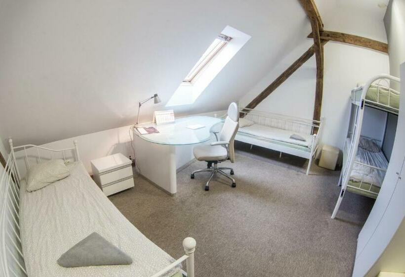 اتاق استاندارد چهارنفره با سرویس بهداشتی مشترک, Fitness Hostel   Restauracja, Darmowy Parking I Siłownia