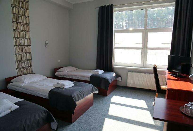 חדר סטנדרט לשלושה, Centrum