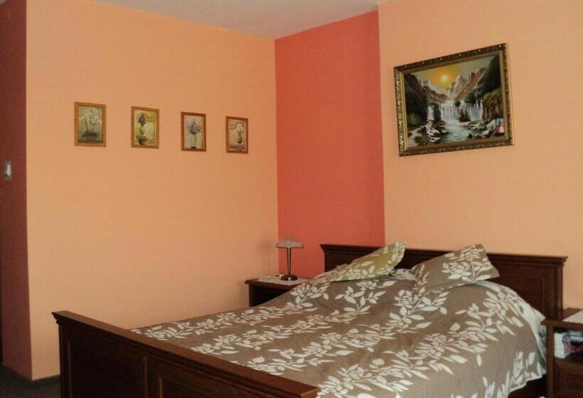 스탠다드 룸 킹사이즈 침대, Primagor