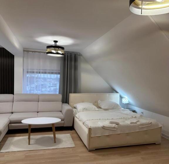 高级大房间, Motel Za Miedzą