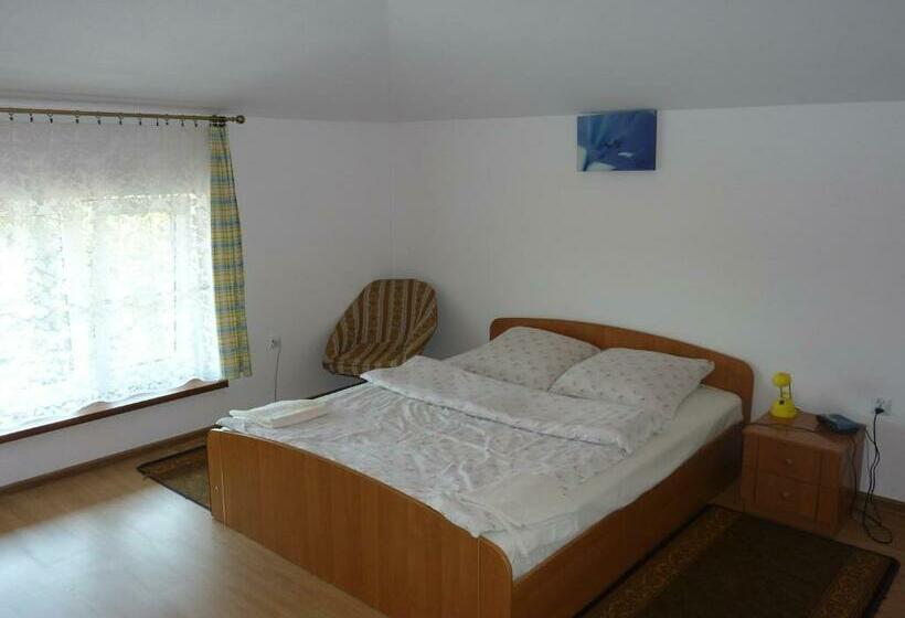 اتاق استاندارد, Ik Na Zdrowiu