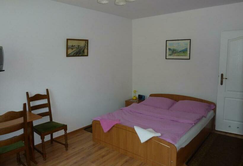 اتاق استاندارد, Ik Na Zdrowiu