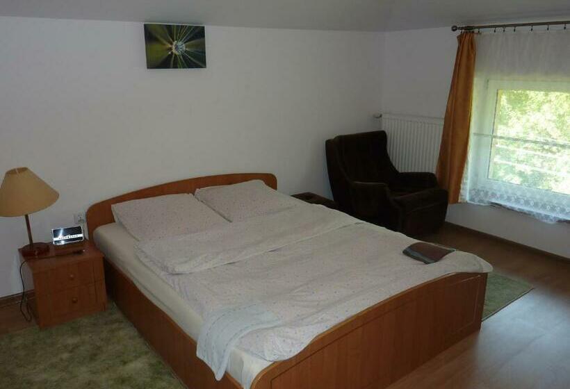 اتاق استاندارد, Ik Na Zdrowiu