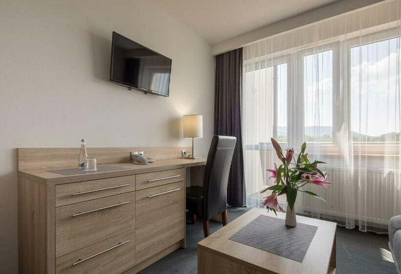 חדר דלוקס יחיד, Villa Barbara