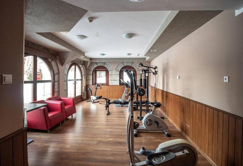 Номер Стандарт, Villa Wernera Hotel & Spa