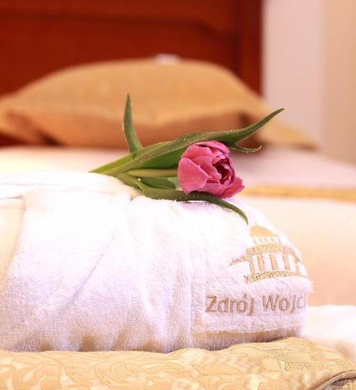 스탠다드 싱글 룸, Zdrój Wojciech