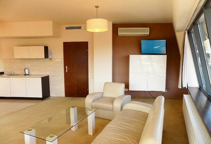شقة غرفة واحدة, Apartament Panoramic