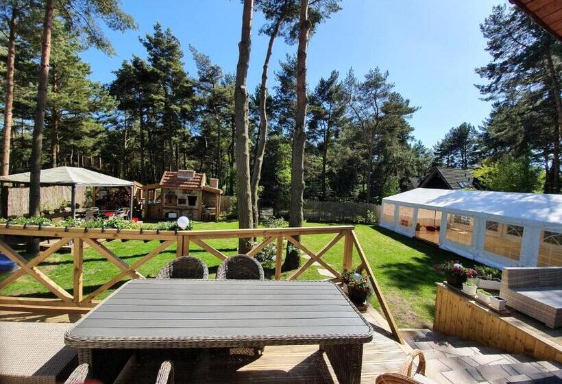 Вилла Deluxe 1 Спальня, Willa Vinci Rozewie