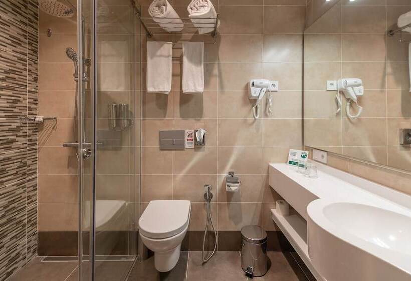 غرفة قياسية, Hayasa Hotel Yerevan