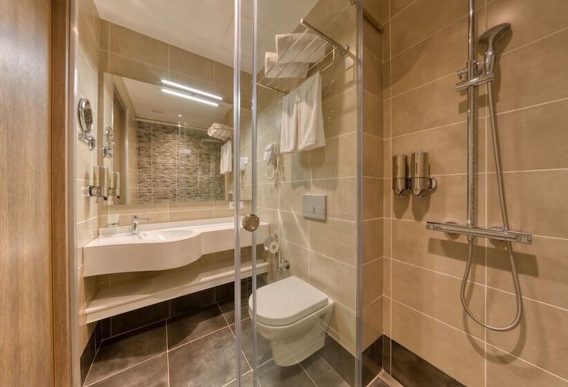 스탠다드 룸, Hayasa Hotel Yerevan