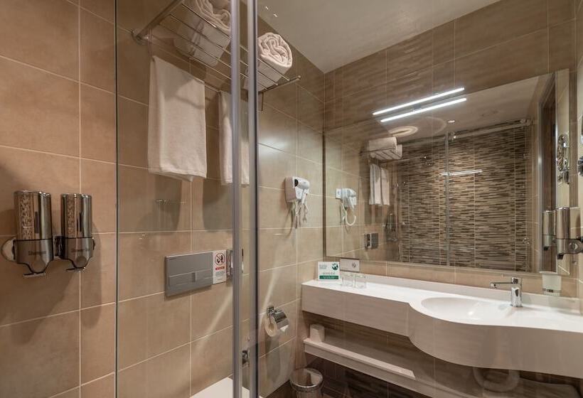 수피리어 룸, Hayasa Hotel Yerevan