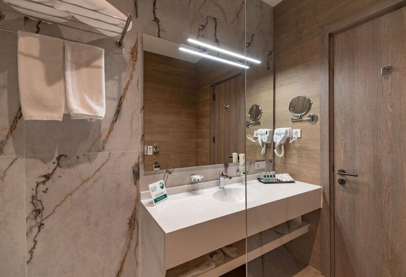 غرفة ديلوكس, Hayasa Hotel Yerevan