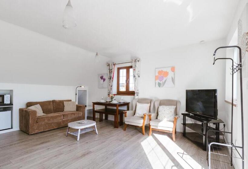 غرفة قياسية مطلة على الجبل, Bryn Gerrig View