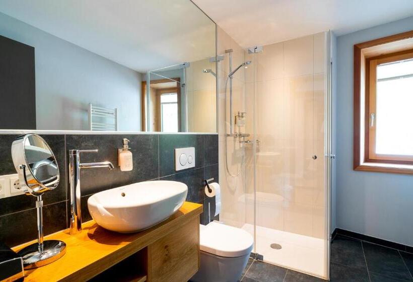 带1个卧室的公寓, Apart Hotel Laurus Lech