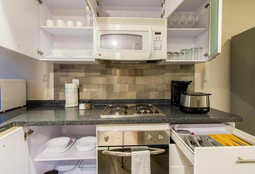 آپارتمان 3 خوابه, Capitalia   Apartments   Reforma Centro