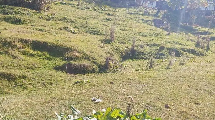 اتاق خانوادگی با چشم‌انداز کوه, Mount Heaven Hotel Murree