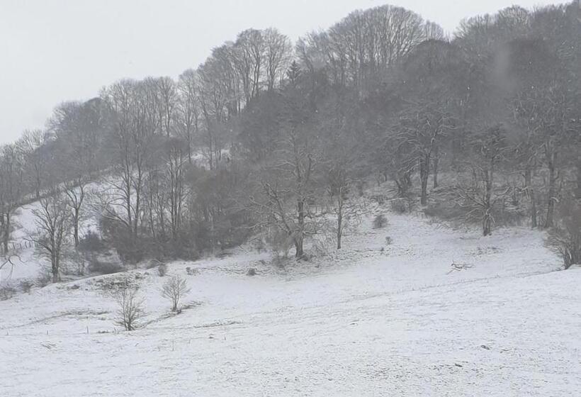 Pokój Standard, Sas Road Runner Café