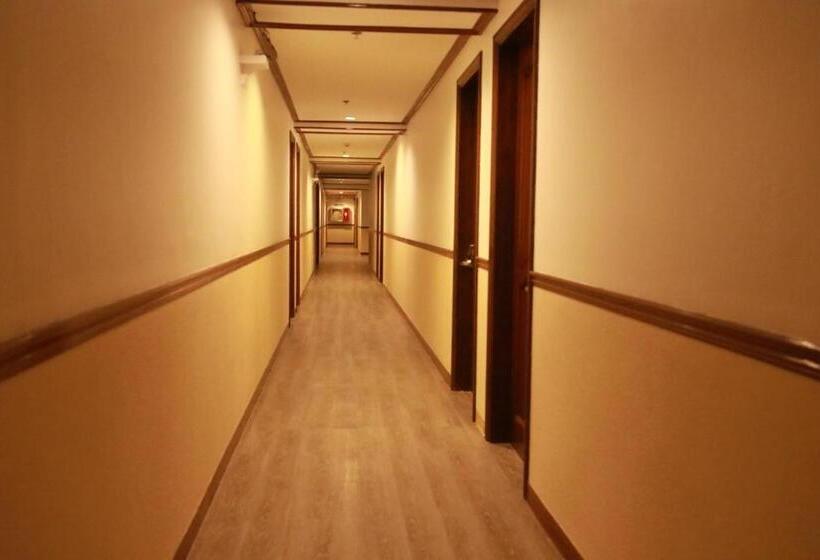 سوییت اجرایی, Bohol Plaza Mountain Resort And Restaurant