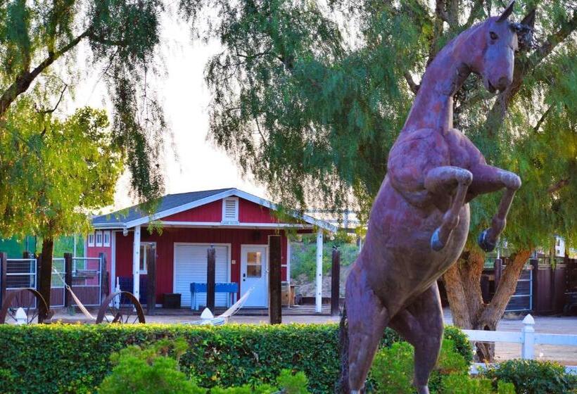 디럭스 룸 킹사이즈 침대, Peppertree Lane Ranch    Seven Acre Ranch In The Heart Of Wine Country