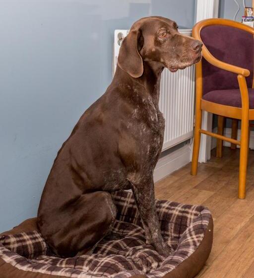 Номер Стандарт, The Farmers Boy Inn Guest House