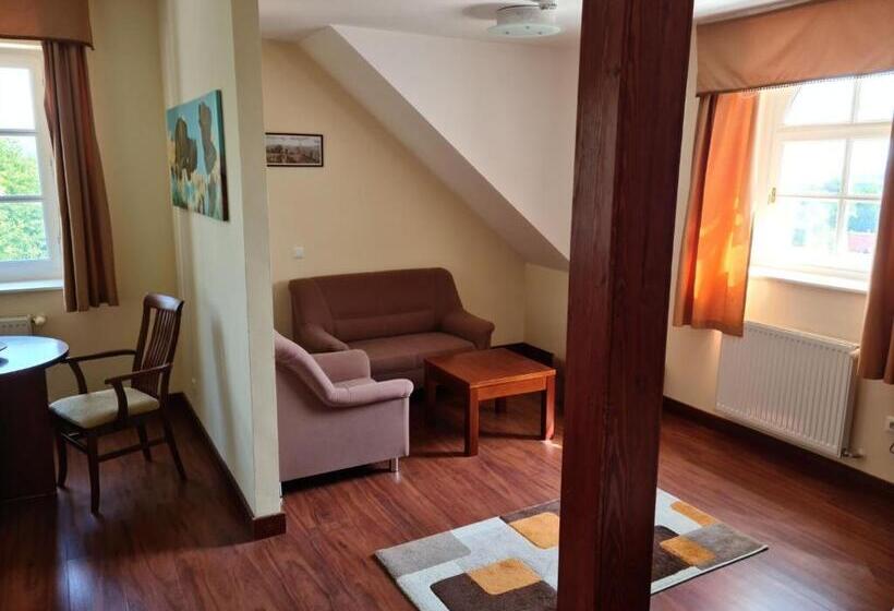 キングサイズベッドのスタンダードルーム, Teleki Wattay Kastélyszálló