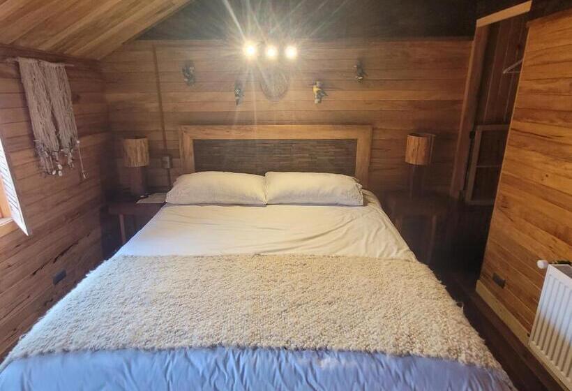 اتاق لوکس, Alma Chilota