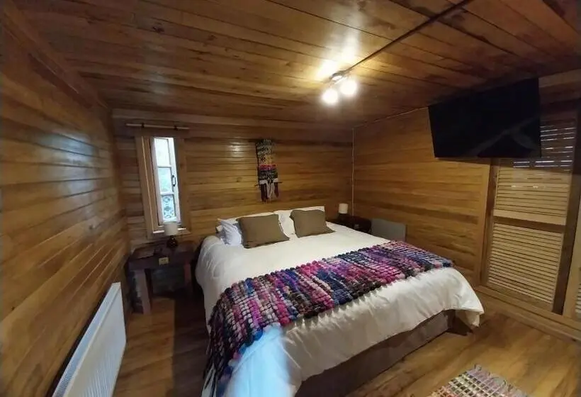 اتاق استاندارد, Alma Chilota