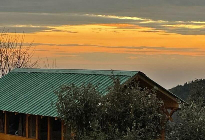 デラックススイート, Bagar Trails