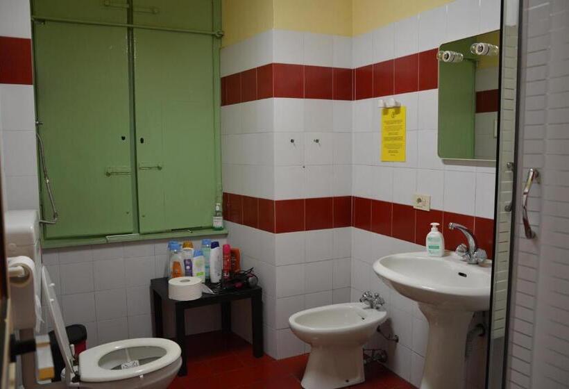 Ortak Banyolu Standart Oda, Green House