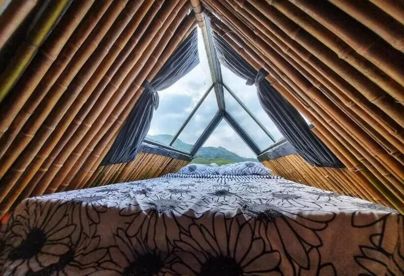 Perhebungalow, Hostal Mostaza