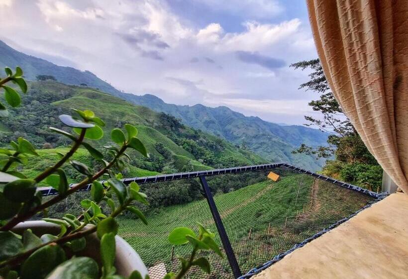 بنجلو عائلى, Hostal Mostaza