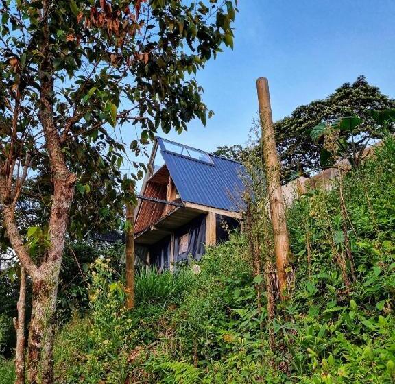 منزل غرفة نوم واحدة, Hostal Mostaza