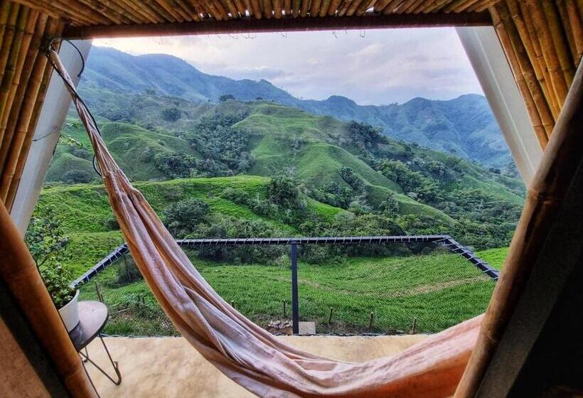 منزل غرفة نوم واحدة, Hostal Mostaza