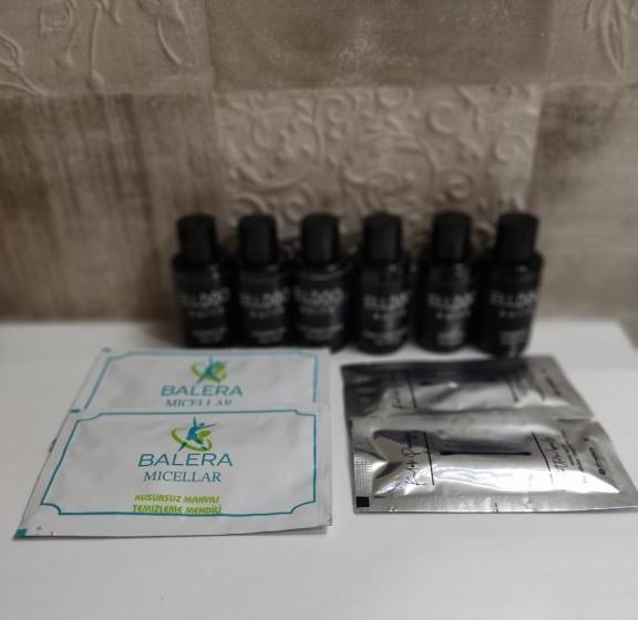 اتاق خانوادگی, Eluxi̇o Sui̇te