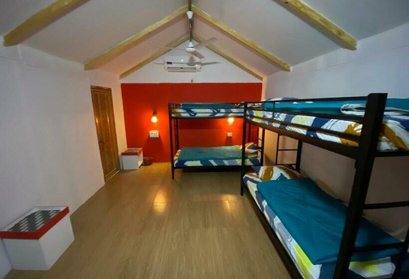 Llit en Habitació Compartida, Tropical Bay