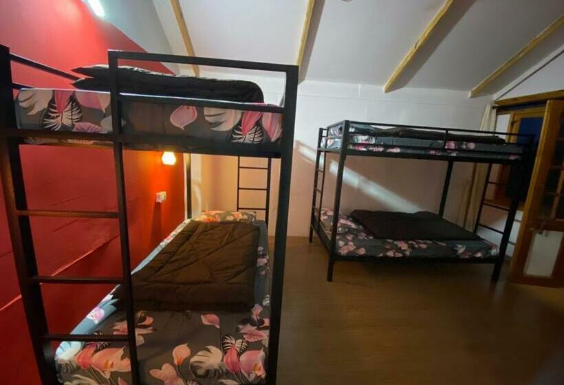 Llit en Habitació Compartida, Tropical Bay