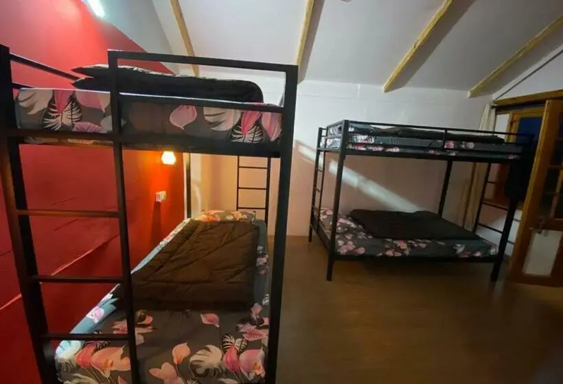 Geteiltes Mehrbettzimmer, Tropical Bay