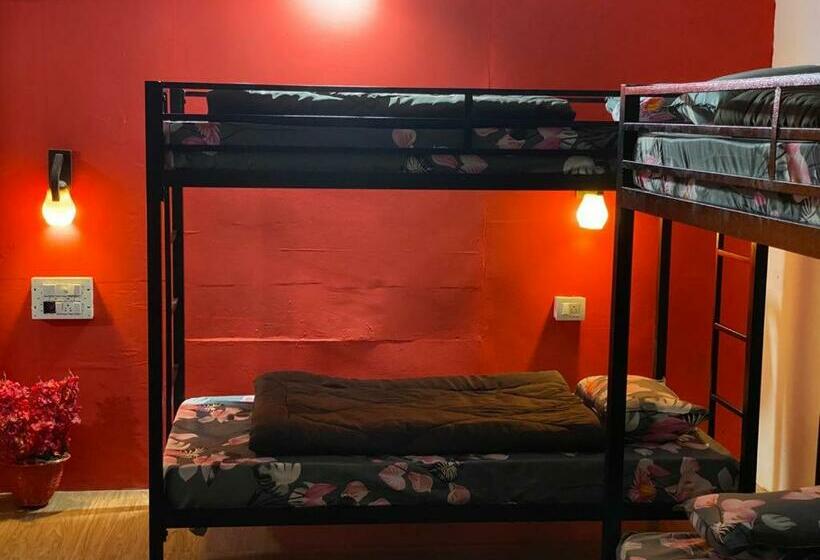 Llit en Habitació Compartida, Tropical Bay