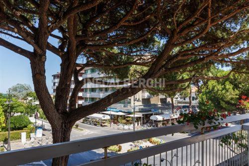 חדר אקונומי, Esperia Family