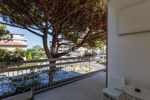 חדר אקונומי לארבעה, Esperia Family