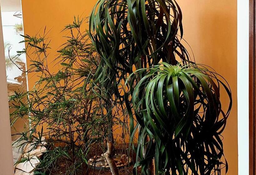 발코니가 있는 스위트, Royal Inn Spa & Pousada