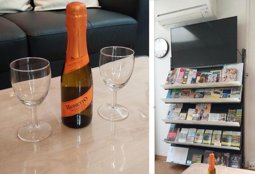 اتاق استاندارد, Benb Hollandsingel