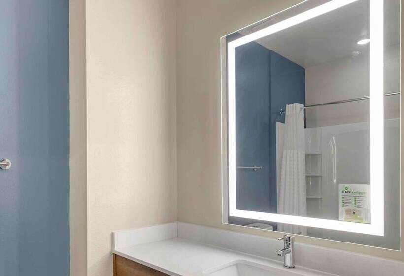 スタンダードスタジオ, Extended Stay America Suites  Atlanta  Mcdonough