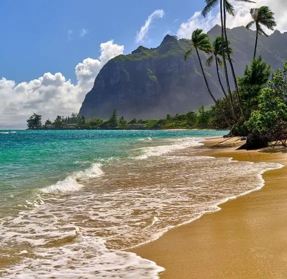 バルコニー付き１ベッドルームアパートメント, Free Parking Comfy Central Waikiki