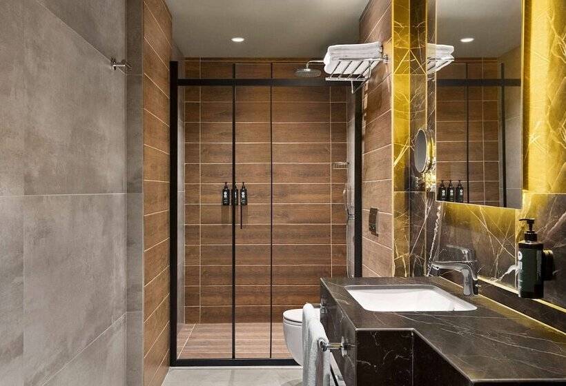 اتاق سوپریور برای معلولان, Ramada By Wyndham Erzurum